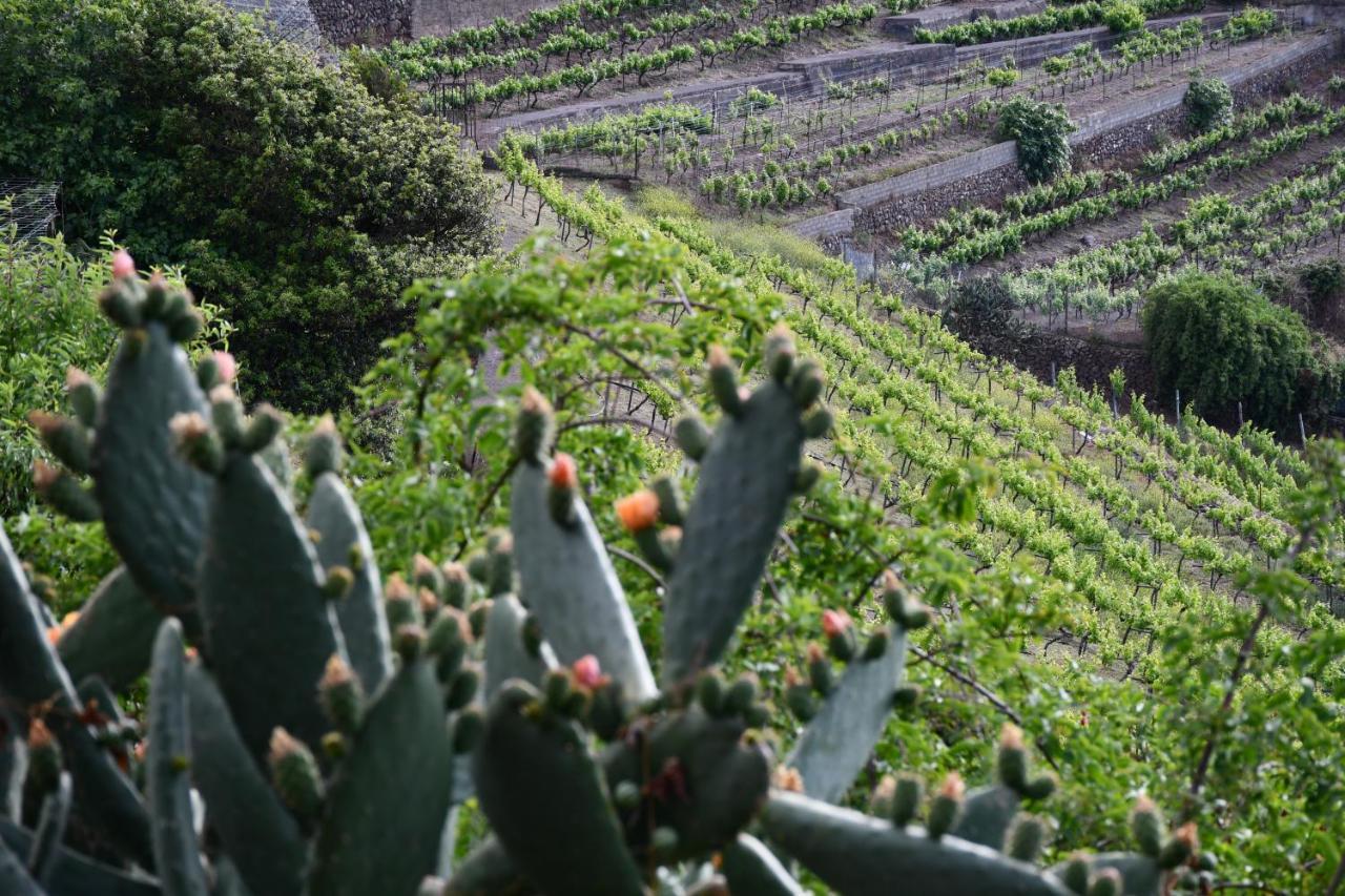 Haciendas Del Valle - Casa San Miguel Valle de Guerra Eksteriør billede